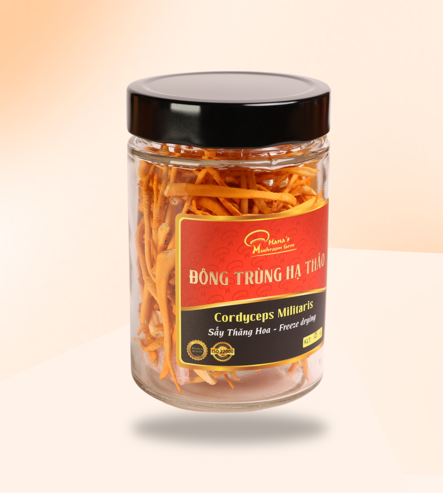 ĐÔNG TRÙNG HẠ THẢO DẠNG SỢI TRUNG HỘP 50GR (40).png