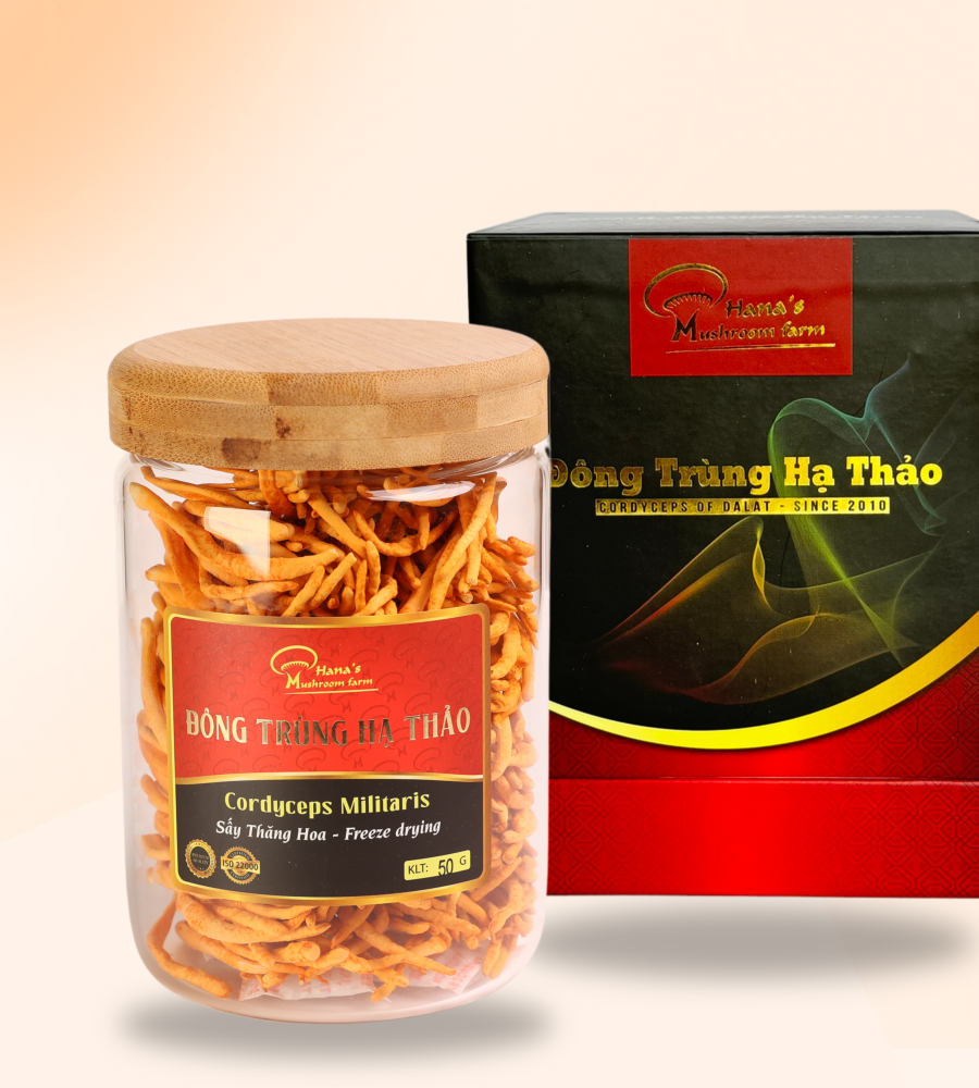 ĐÔNG TRÙNG HẠ THẢO DẠNG SỢI TRUNG HỘP 50GR (50).png