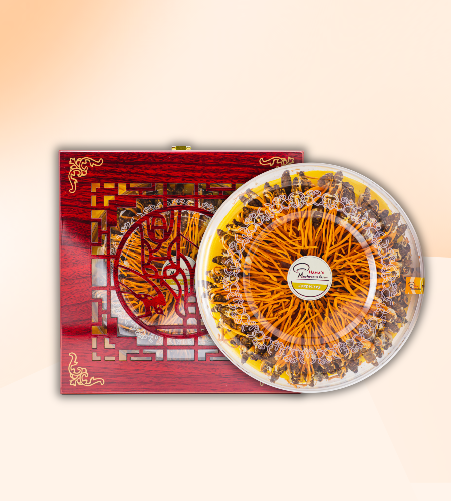 ĐÔNG TRÙNG HẠ THẢO DẠNG SỢI TRUNG HỘP 50GR (60).png